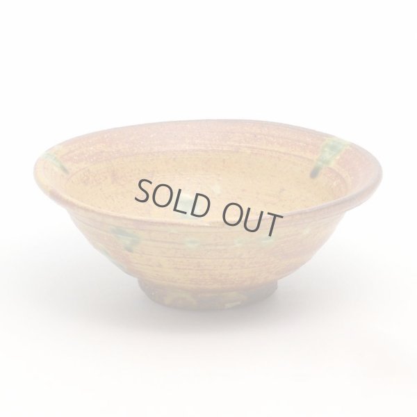 Photo1: Shigaraki pottery Japanese matcha tea ceremony bowl Irabo wan