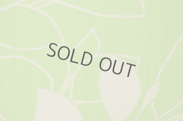 Photo4: Noren Japanese Curtain Doorway NM SD birds leaf ecolier teijin 85 x 170 cm  (4)