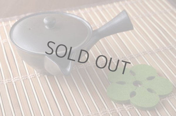 Photo2: Japanese tea pot Mino ware flat style Temokukuro 250ml (2)