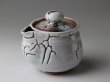 Photo1: Hagi yaki ware Japanese tea pot White Keizo wa kyusu pottery tea strainer 400ml (1)