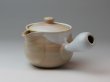 Photo5: Hagi yaki ware Japanese tea pot Hime M kyusu with stainless tea strainer 360ml (5)