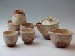 Photo1: Japanese tea set pot cups yusamashi Houhin Kobiki pottery tea strainer 160ml (1)
