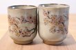 Photo2: Kutani yaki ware Yunomi Kacho Japanese tea cup (set of 2) (2)