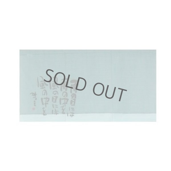 Photo5: Noren Japanese Curtain Doorway Room Divider Mitsuo Aida Ame green 85cm x 45cm (5)