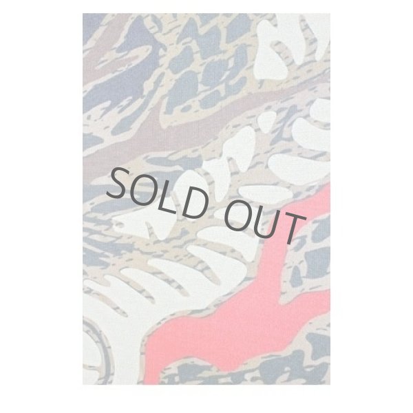 Photo2: Noren Japanese Echizen curtain dragon fly lame 85cm x 150cm (2)