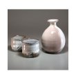 Photo1: Hagi ware Senryuzan climbing kiln Japanese sake bottle & cup set Youhen (1)