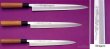 Photo5: SAKAI TAKAYUKI Japanese knife Yasuki White-2 steel With Carving Dragon Sashimi (5)