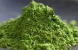 Photo1: 20g 100% Japanese Matcha Green Tea Powder by Uji Oharashun Kouen no mukashi (1)
