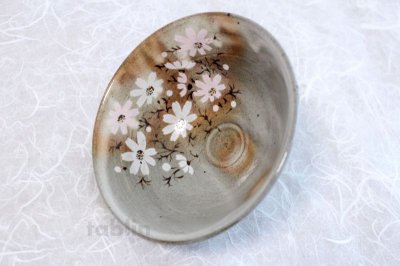 Photo2: Mino yaki ware Japanese tea bowl Gohonte akisakura kibo chawan Matcha Green Tea