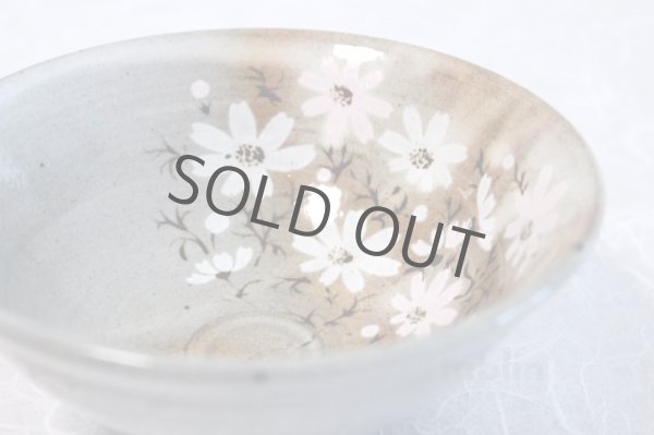 Photo5: Mino yaki ware Japanese tea bowl Gohonte akisakura kibo chawan Matcha Green Tea (5)