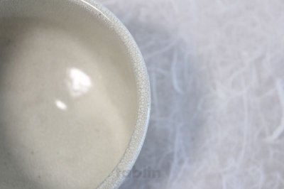 Photo2: Tokoname ware Japanese tea bowl Hai reef somon chawan Matcha Green Tea