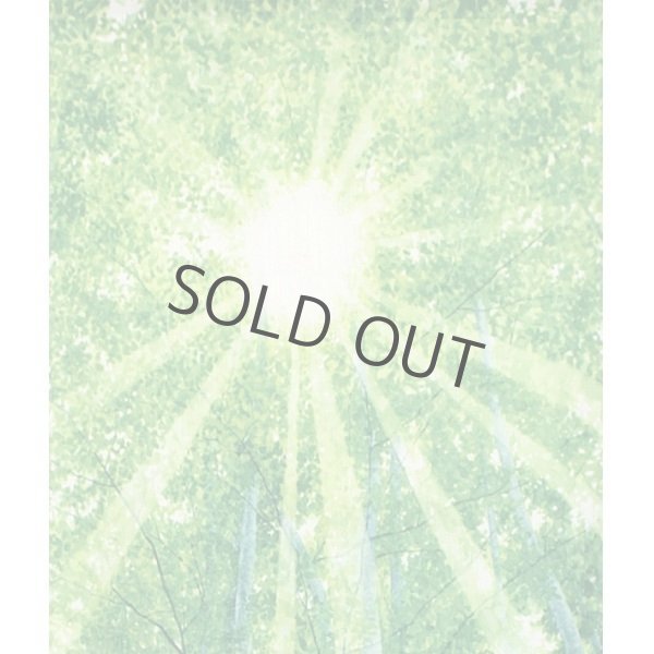 Photo2: Kyoto Noren MS Japanese door curtain Shirakaba White birch green 85 x 150cm (2)