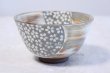 Photo10: Kiyomizu relief cherry gray Hiroshi Sasatani Japanese matcha tea bowl chawan (10)