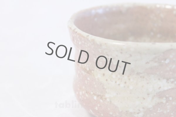 Photo3: Mino yaki ware Japanese tea bowl Shigarafu hime chawan Matcha Green Tea (3)