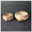Photo1: Shigaraki Japanese bonsai plant garden tree pottery pot bidoro fuka set of 2 (1)