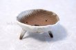 Photo2: Shigaraki Japanese bonsai plant garden tree pottery pot takaashi white H5.5cm (2)