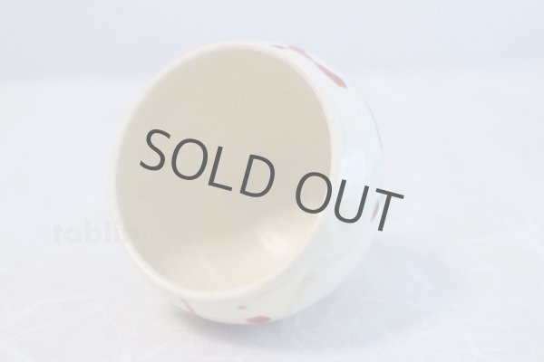 Photo5: Shigaraki pottery Japanese matcha tea bowl chawan ippuku red akae (5)