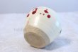 Photo4: Shigaraki pottery Japanese matcha tea bowl chawan ippuku red akae (4)