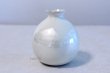 Photo2: Kutani Porcelain Japanese Sake cup & Sake bottle set Ginsai soroe (2)