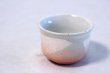 Photo4: Kutani Porcelain Japanese Sake cup & Sake bottle set Ginsai soroe (4)