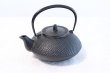 Photo1: Japanese Cast Iron Teapot Kyusu Nambu Tetsubin Ikenaga Hogyoku 540 ml (1)