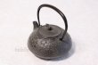 Photo3: Japanese Cast Iron Teapot Kyusu Nambu Tetsubin Ikenaga Hyotan 360 ml (3)