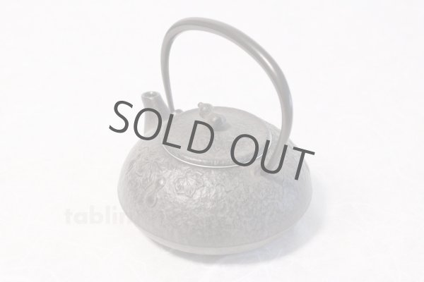 Photo3: Japanese Cast Iron Teapot Kyusu Nambu Tetsubin Ikenaga Hyotan 360 ml (3)