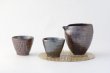 Photo1: Arita porcelain Japanese sake bottle & cups set tessa Fujimaki kiln reishuki (1)