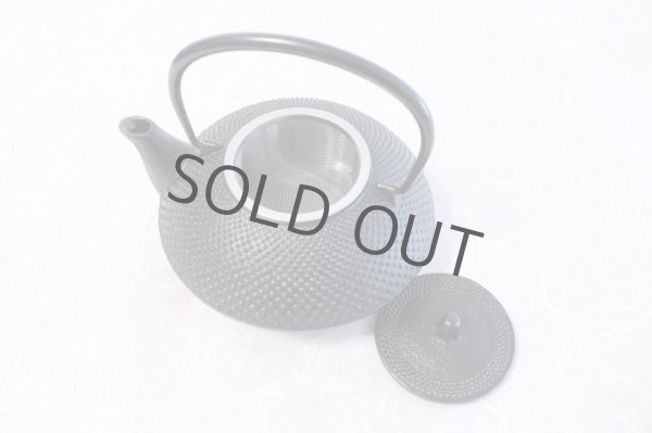 Photo4: Japanese Cast Iron Teapot Kyusu Nambu Tetsubin Ikenaga Hogyoku 540 ml (4)