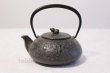 Photo1: Japanese Cast Iron Teapot Kyusu Nambu Tetsubin Ikenaga Hyotan 360 ml (1)