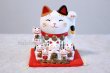 Photo1: Japanese Lucky Cat Tokoname yaki ware Porcelain Maneki Neko Nishikisai 5.3inch (1)