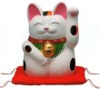 Photo5: Japanese Lucky Cat Tokoname YT Porcelain Maneki Neko Mansuke left hand H21cm (5)