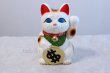 Photo3: Japanese Lucky Cat Tokoname ware YT Porcelain Maneki Neko dollar white H25cm (3)