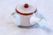 Photo1: Kutani Porcelain Japanese tea pot 500ml akaami red (1)