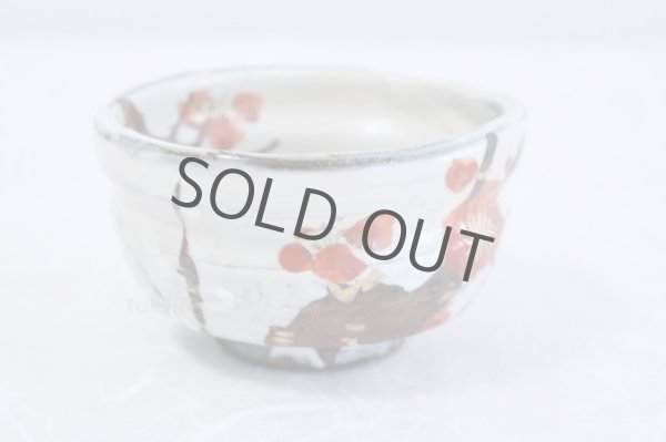 Photo2: Mino ware tea bowl Ume fukuryo chawan Matcha Green Tea Japan (2)