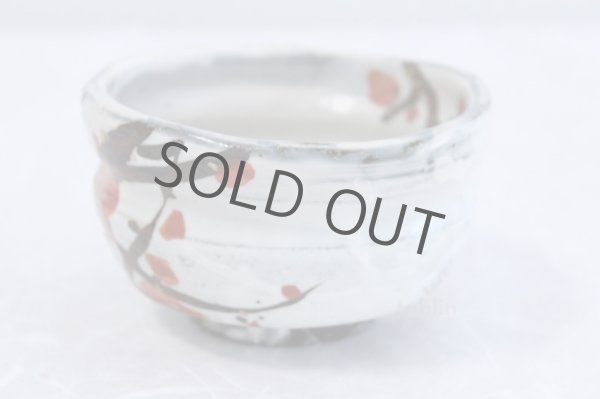 Photo3: Mino ware tea bowl Ume fukuryo chawan Matcha Green Tea Japan (3)