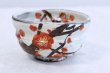 Photo1: Mino ware tea bowl Ume fukuryo chawan Matcha Green Tea Japan (1)