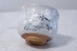 Photo5: Mino ware Japanese pottery matcha chawan tea bowl toga haku plum noten (5)