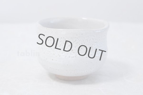 Photo3: Mino ware Japanese pottery matcha chawan tea bowl toga haku plum noten (3)