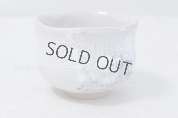 Photo2: Mino ware Japanese pottery matcha chawan tea bowl toga haku plum noten (2)
