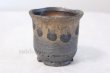 Photo5: Shigaraki pottery Japanese bonsai plant garden tree pottery pot kinsai shin (5)