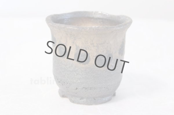 Photo5: Shigaraki pottery Japanese bonsai plant garden tree pottery pot kinsai shin (5)