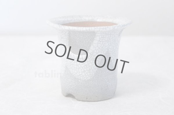 Photo2: Shigaraki Japanese bonsai plant garden tree pottery pot white glaze sekkok H95mm (2)