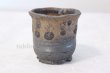 Photo4: Shigaraki pottery Japanese bonsai plant garden tree pottery pot kinsai shin (4)