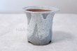 Photo3: Shigaraki Japanese bonsai plant garden tree pottery pot white glaze sekkok H95mm (3)