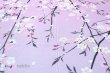 Photo3: Noren CSMO Japanese door curtain Weeping Sakura pink 85 x 150cm (3)