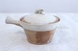 Photo3: Shigaraki pottery Japanese tea pot kyusu Usugesho pottery tea strainer 500ml (3)