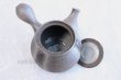 Photo5: Shigaraki pottery Japanese tea pot kyusu Ibushi pottery tea strainer 550ml (5)