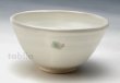 Photo9: Shigaraki pottery Japanese soup noodle serving bowl komon kobiki D150mm (9)