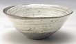 Photo2: Shigaraki pottery Japanese soup noodle serving bowl hakekoba D160mm (2)